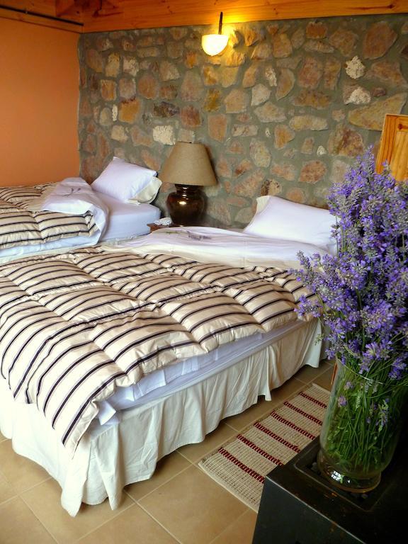 Villa La Calandria Casa De Campo Puerto Madryn Zimmer foto