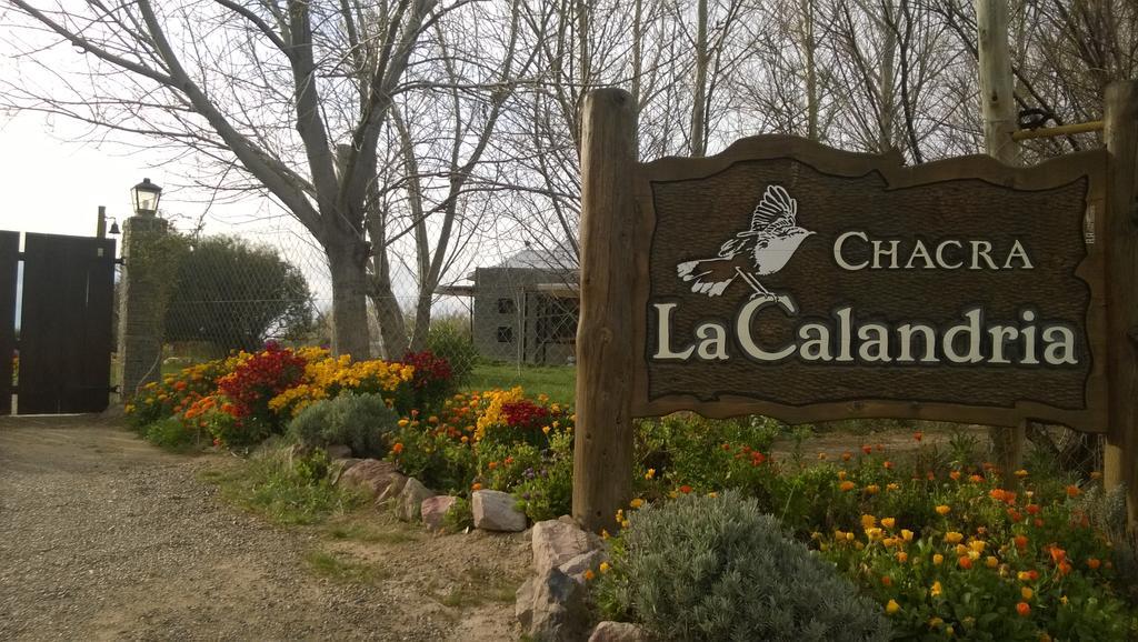Villa La Calandria Casa De Campo Puerto Madryn Exterior foto