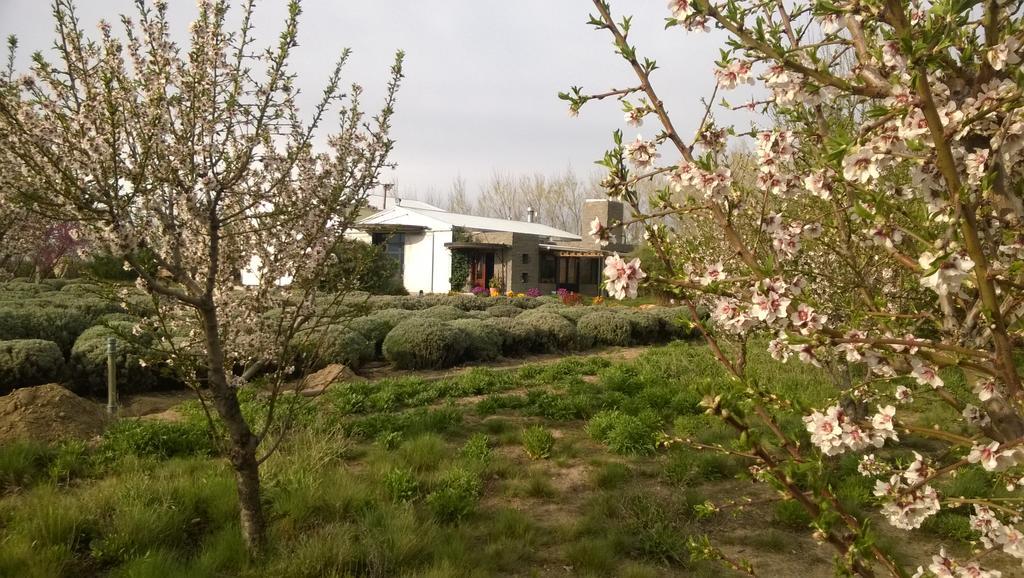 Villa La Calandria Casa De Campo Puerto Madryn Exterior foto